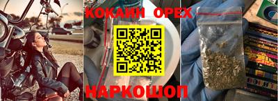 дживик Моздок
