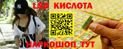 дживик Моздок