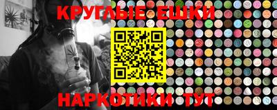 дживик Моздок