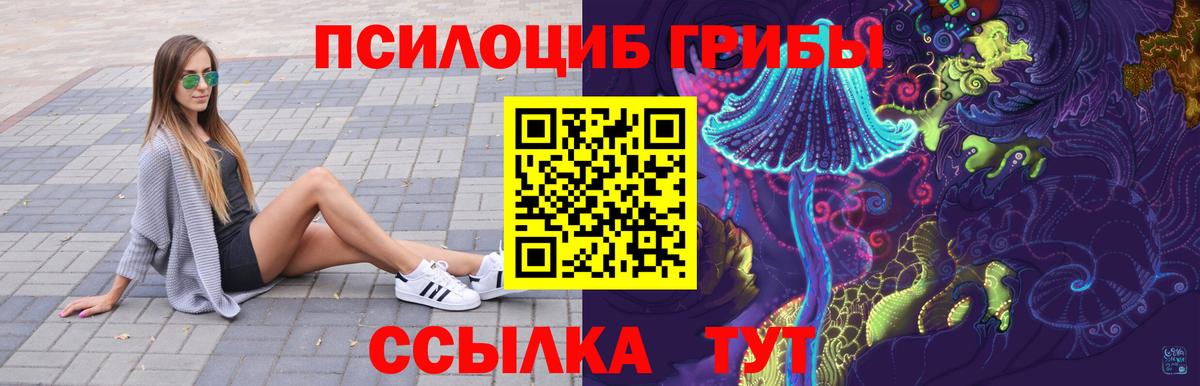 Галлюциногенные грибы GOLDEN TEACHER Усть-Илимск